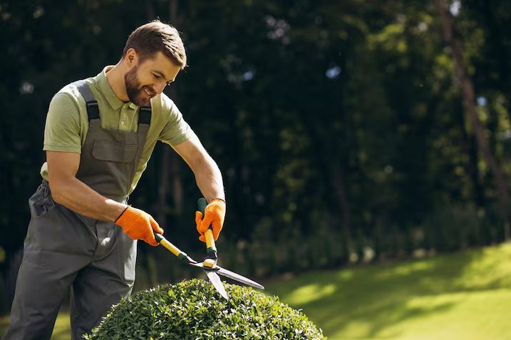 75bd90e0667954dac2978c35250961e8